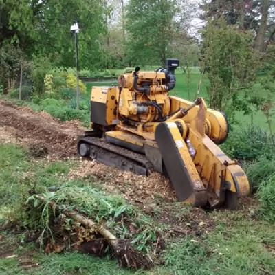 Commercial tree stump grinding