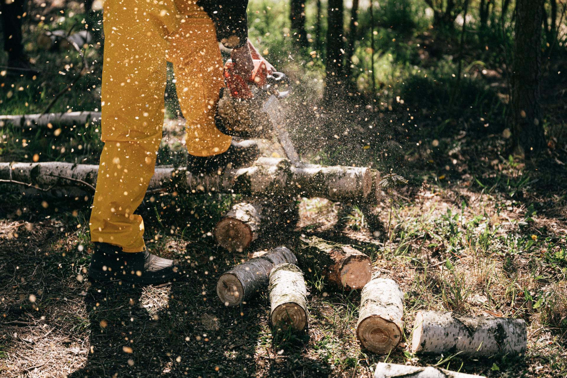 About Herts Stump Grinding 