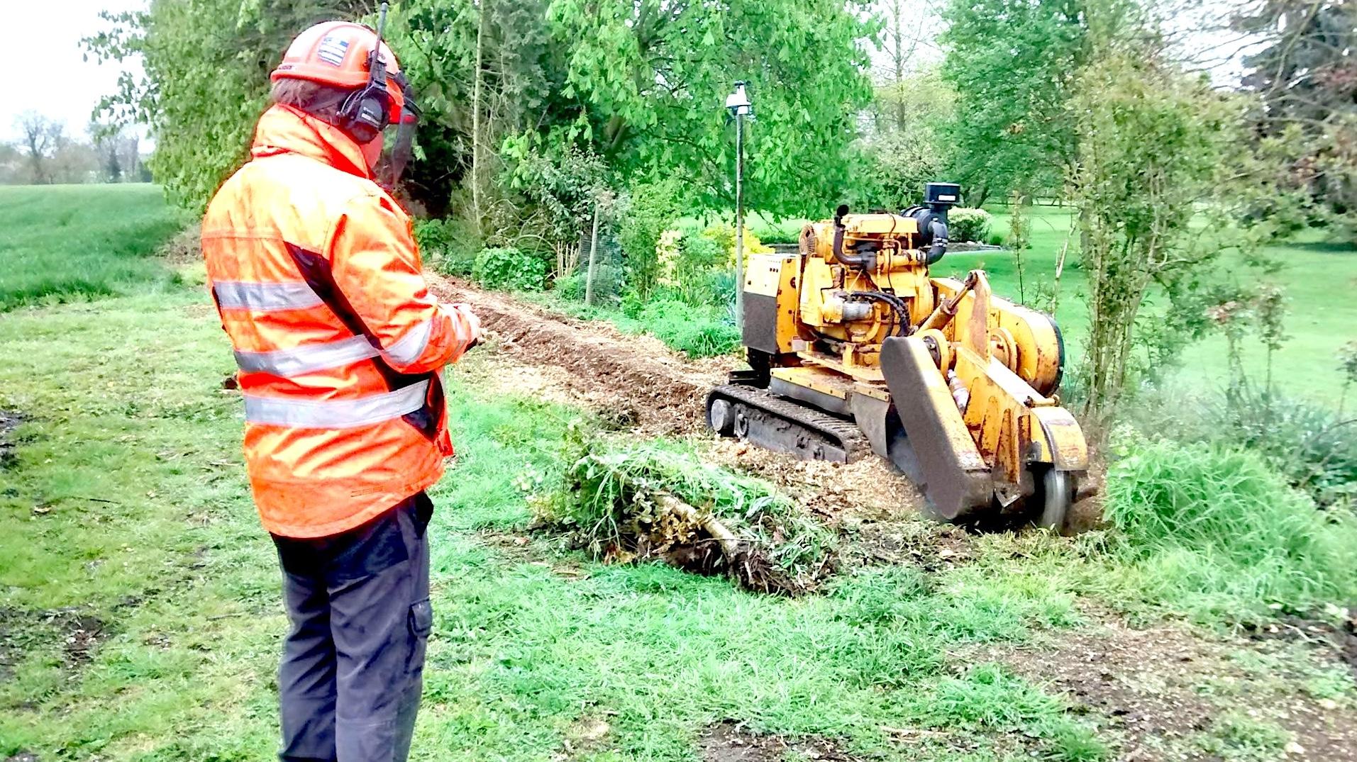 Specialist Stump Grinding For Commercial & Contractor Projects