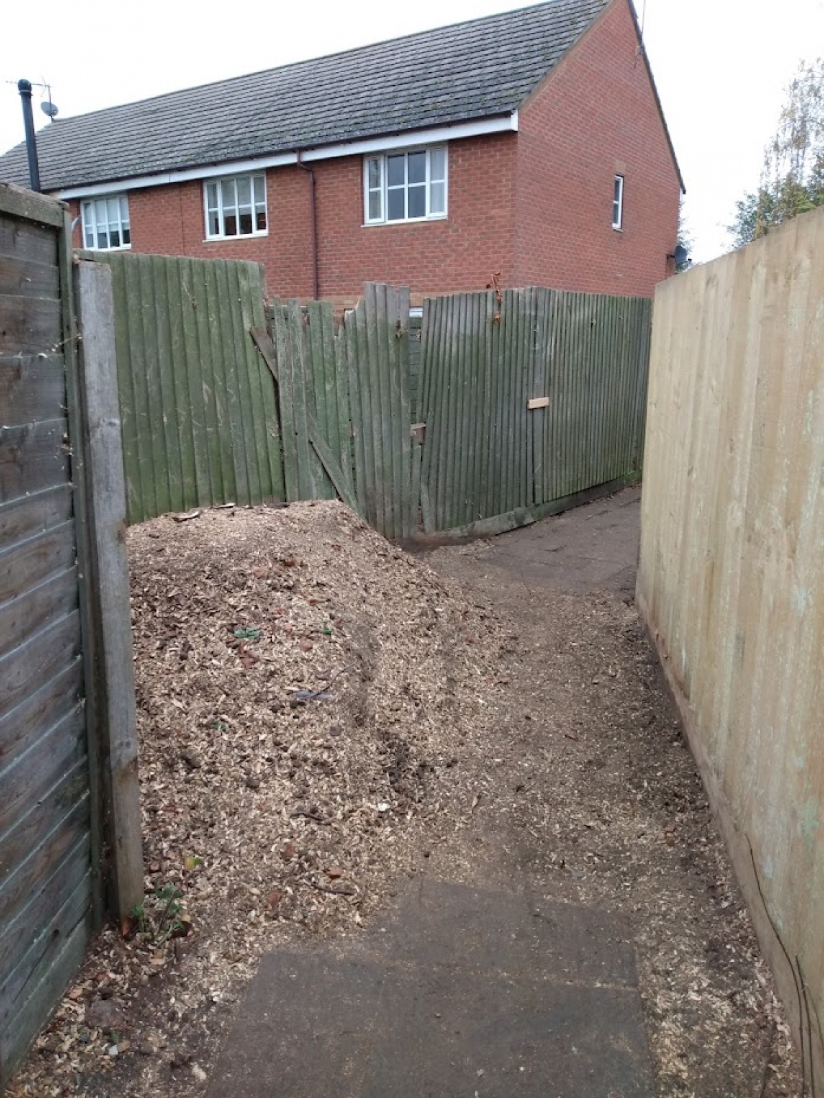 Nice little job today