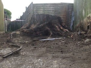 Nice little job today