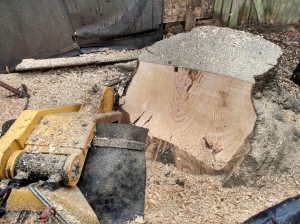 Nice little job today