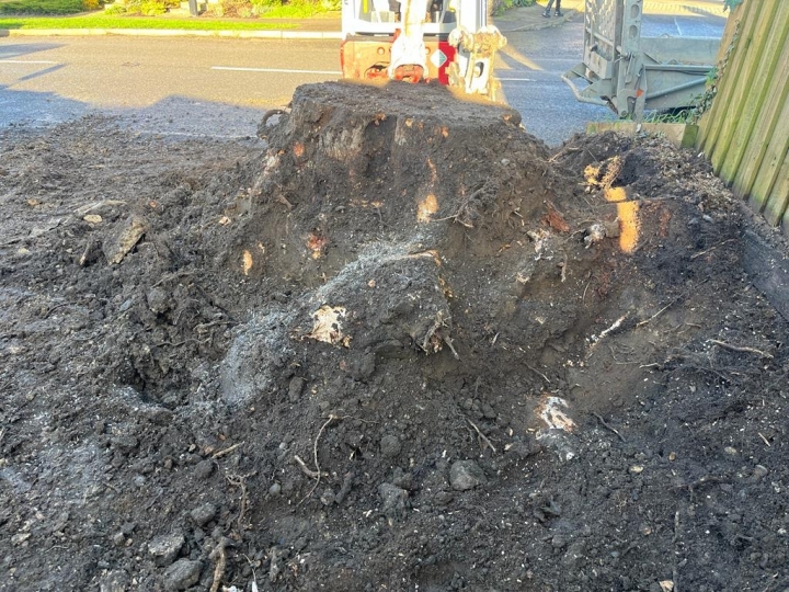 Customer Tried Very Hard To Remove This Stump