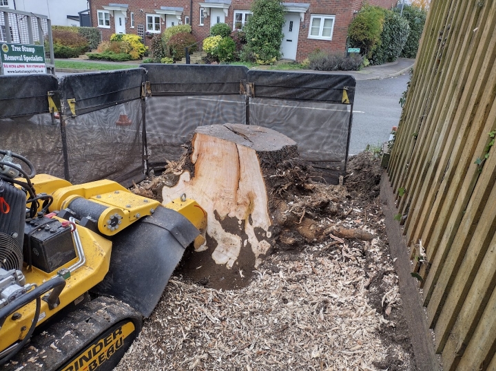 Customer tried very hard to remove this stump.