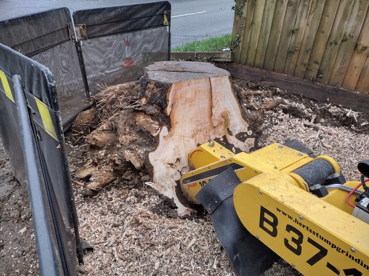 Customer tried very hard to remove this stump.