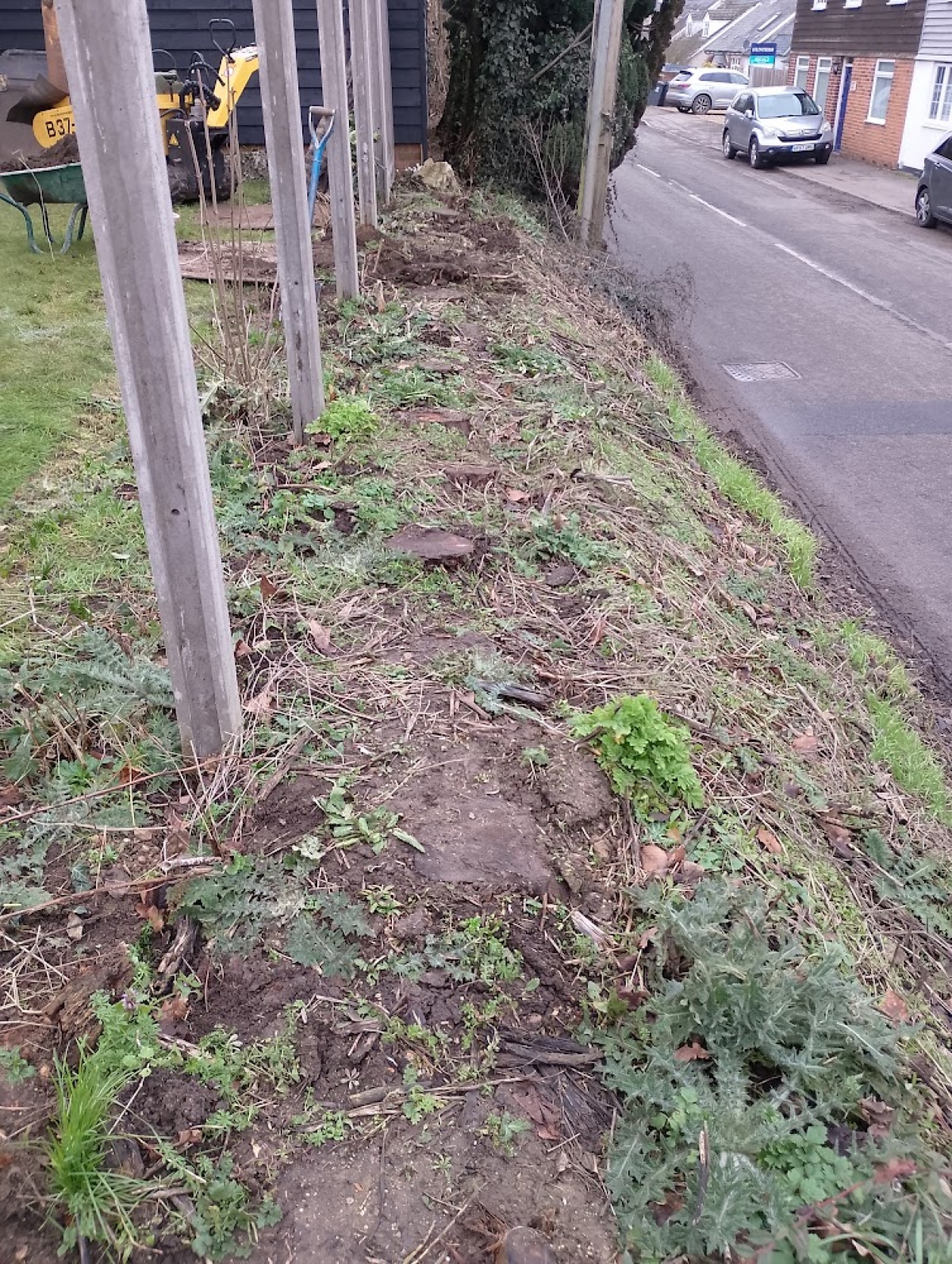 Stump Grinding, Hay Street, Hertfordshire. Tricky little job on a high bank next to a surprisingly busy road.