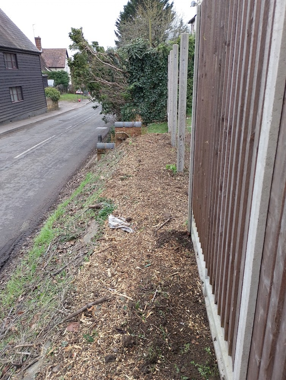 Stump Grinding, Hay Street, Hertfordshire. Tricky little job on a high bank next to a surprisingly busy road.