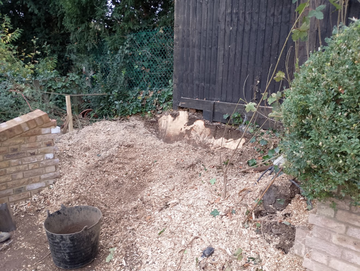 Late request by builders - after lowering their levels for a new driveway and building a wall. They decided they wanted the stump removed .