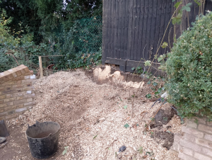 Late request by builders - after lowering their levels for a new driveway and building a wall. They decided they wanted the stump removed .