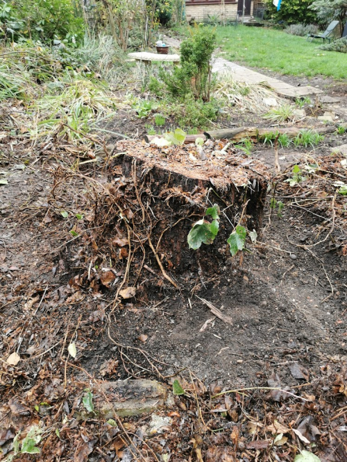 London today - Narrow access. Nobody else wanted to do this job - can't think why lol