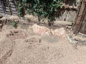 3ft stump lol