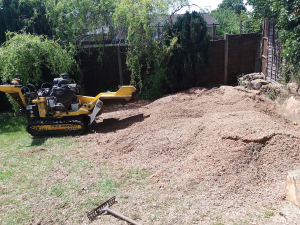 3ft stump lol
