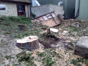 Little site clearance job the last couple of days.
