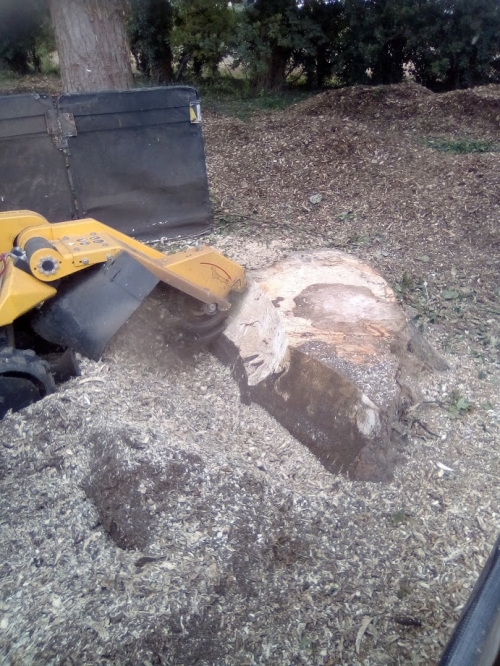 Little site clearance job the last couple of days.