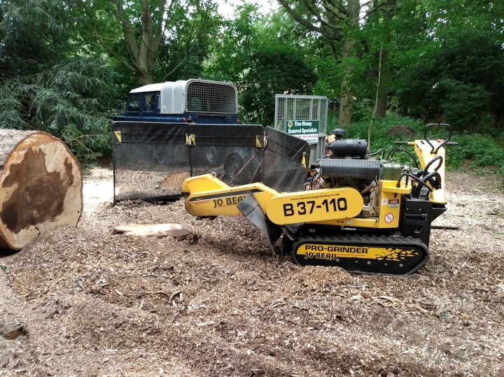 Another busy day For all your stump grinding needs, big or small - just give us a call :-)