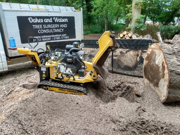 Another busy day For all your stump grinding needs, big or small - just give us a call :-)