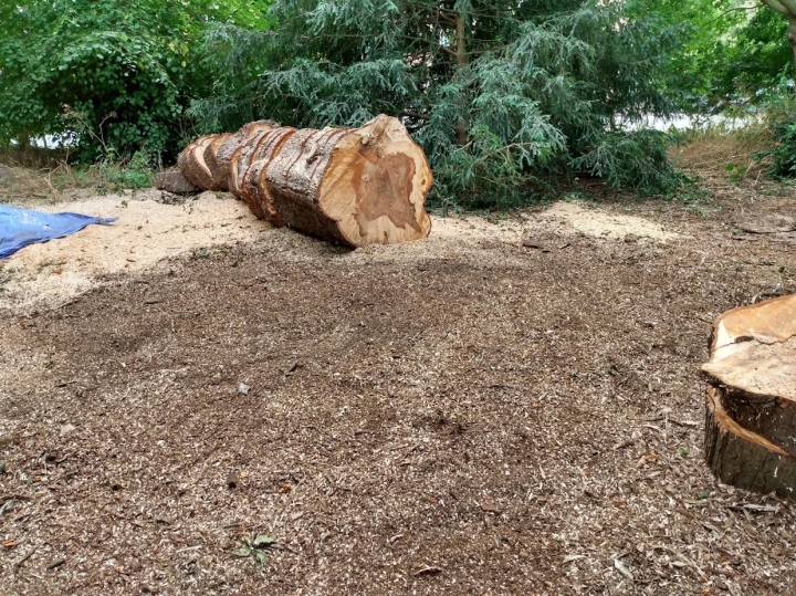 Another busy day For all your stump grinding needs, big or small - just give us a call :-)
