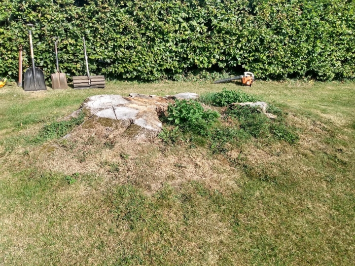 Before & After Big boy stump today :-)