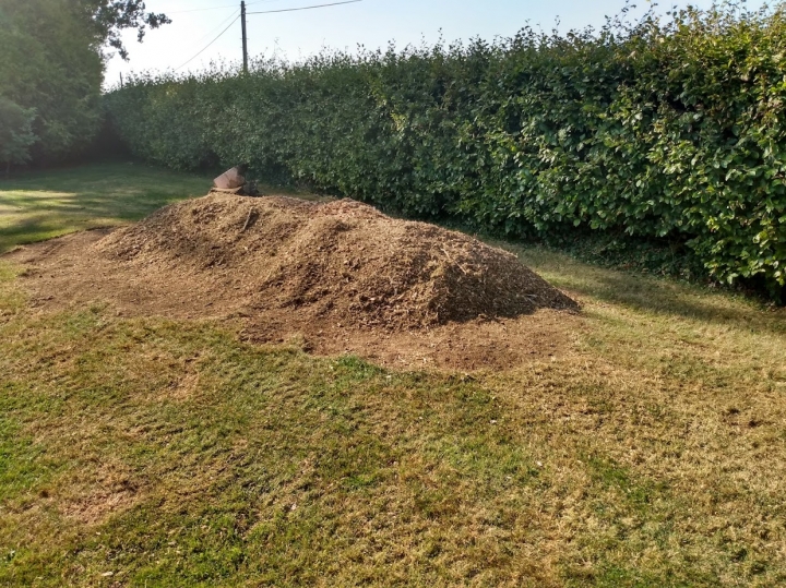 Before & After Big boy stump today :-)