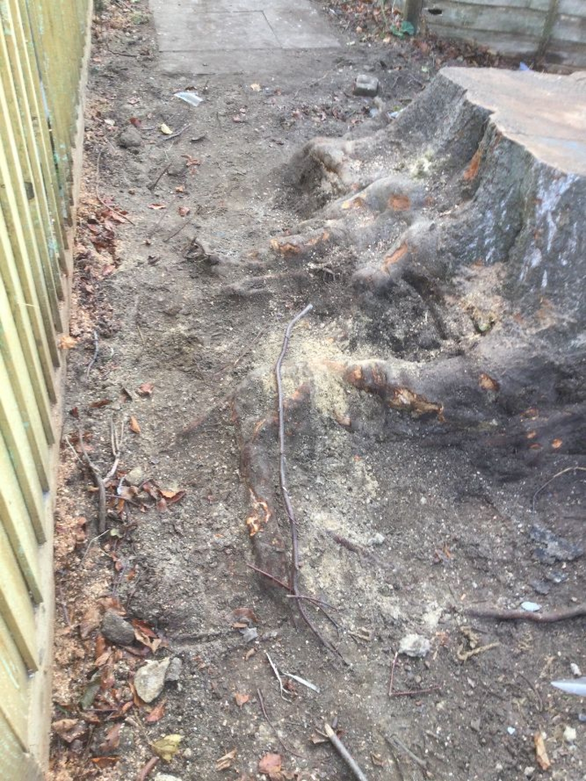 Nice little job today For all your stump grinding needs, big or small - just give us a call :-)