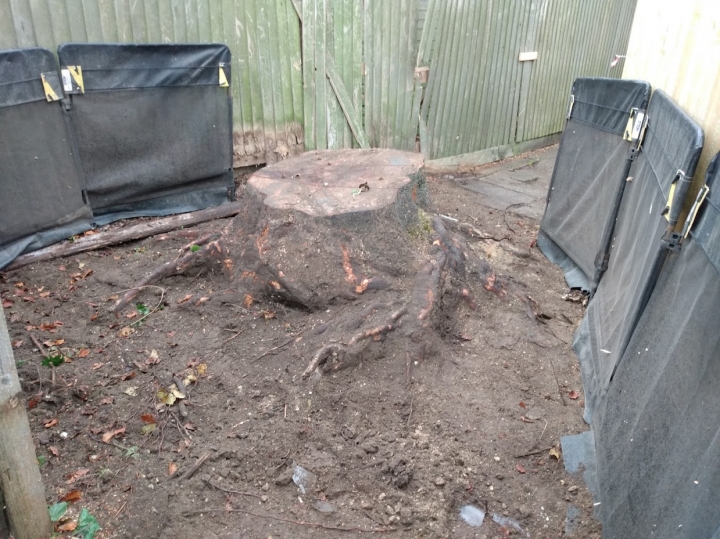 Nice little job today For all your stump grinding needs, big or small - just give us a call :-)
