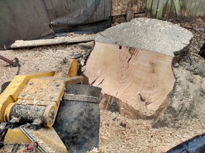 Nice little job today For all your stump grinding needs, big or small - just give us a call :-)