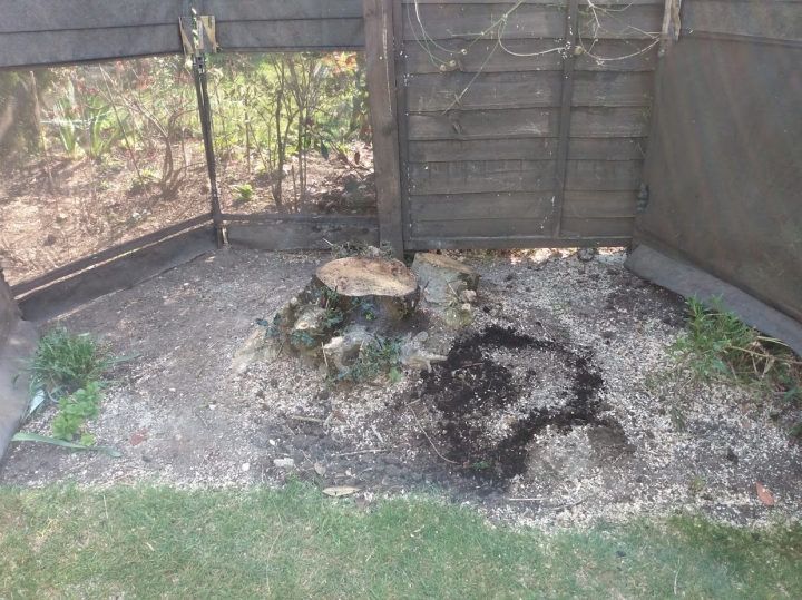 One of our Narrow Access machines For all your stump grinding needs, big or small - just give us a call :-)