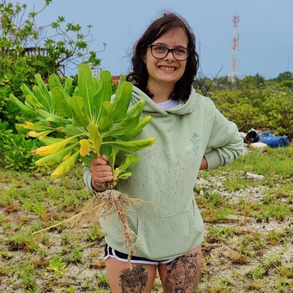 Tree Planting - The trees are Beach Naupaka (Beach Cabbage) We were very happy to sponsor Ellie on her Conservation trip - Tree planting in the Maldives