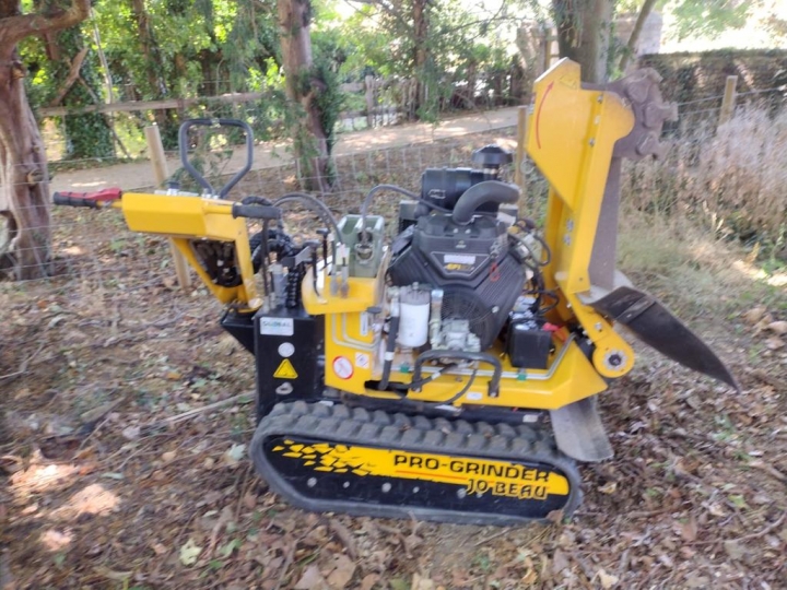 For Sale Jo Beau B37