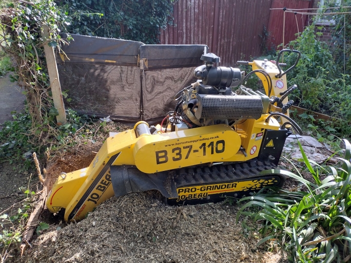 Another busy day :-) For all your stump grinding needs big or small just give us a call.