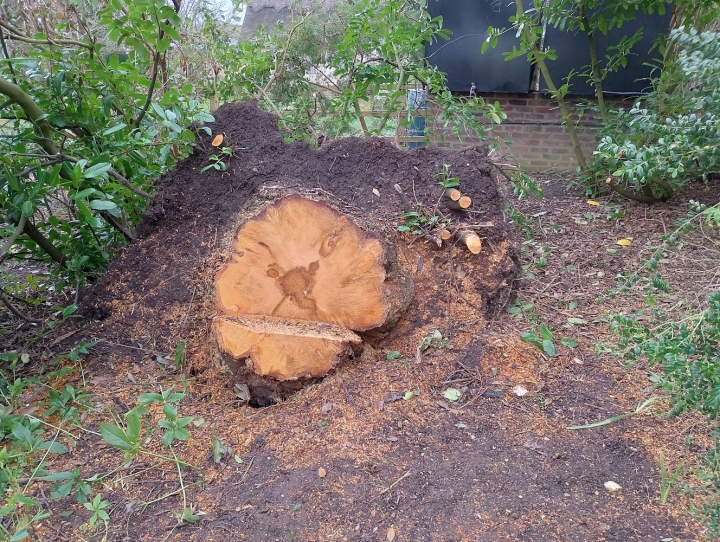 Tidying away recent storm damage. 