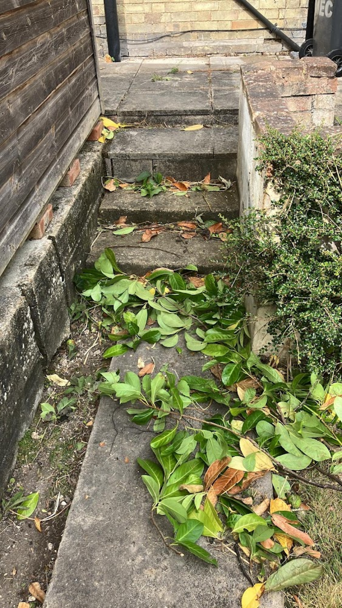 Narrow access - Cambridge For all your stump grinding needs, big or small - just give us a call :-)