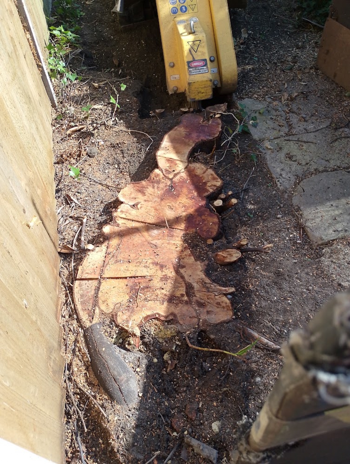 Narrow access - Cambridge For all your stump grinding needs, big or small - just give us a call :-)