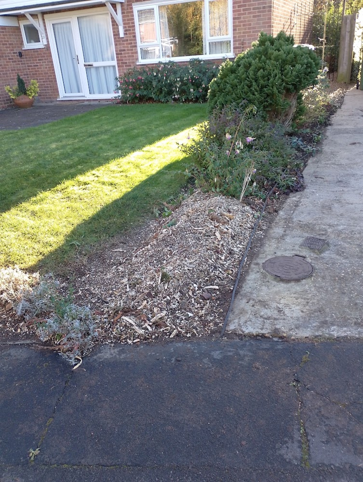 Another little accurate grinding job today - Cambridge For all your stump grinding needs, big or small - just give us a call :-)