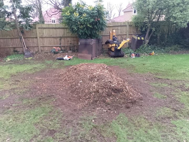 Big stump, Clifton, Bedfordshire. For all your stump grinding needs, big or small - just give us a call :-)