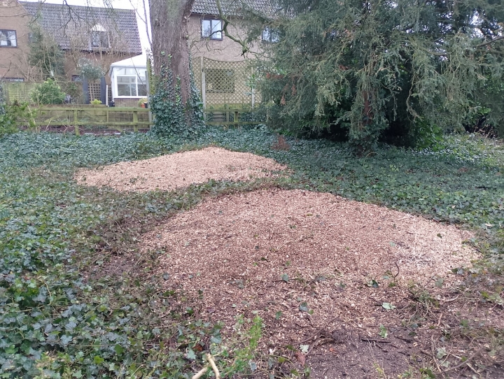 Stump Grinding. Haddenham, Cambridgeshire For all your stump grinding needs, big or small - just give us a call :-)