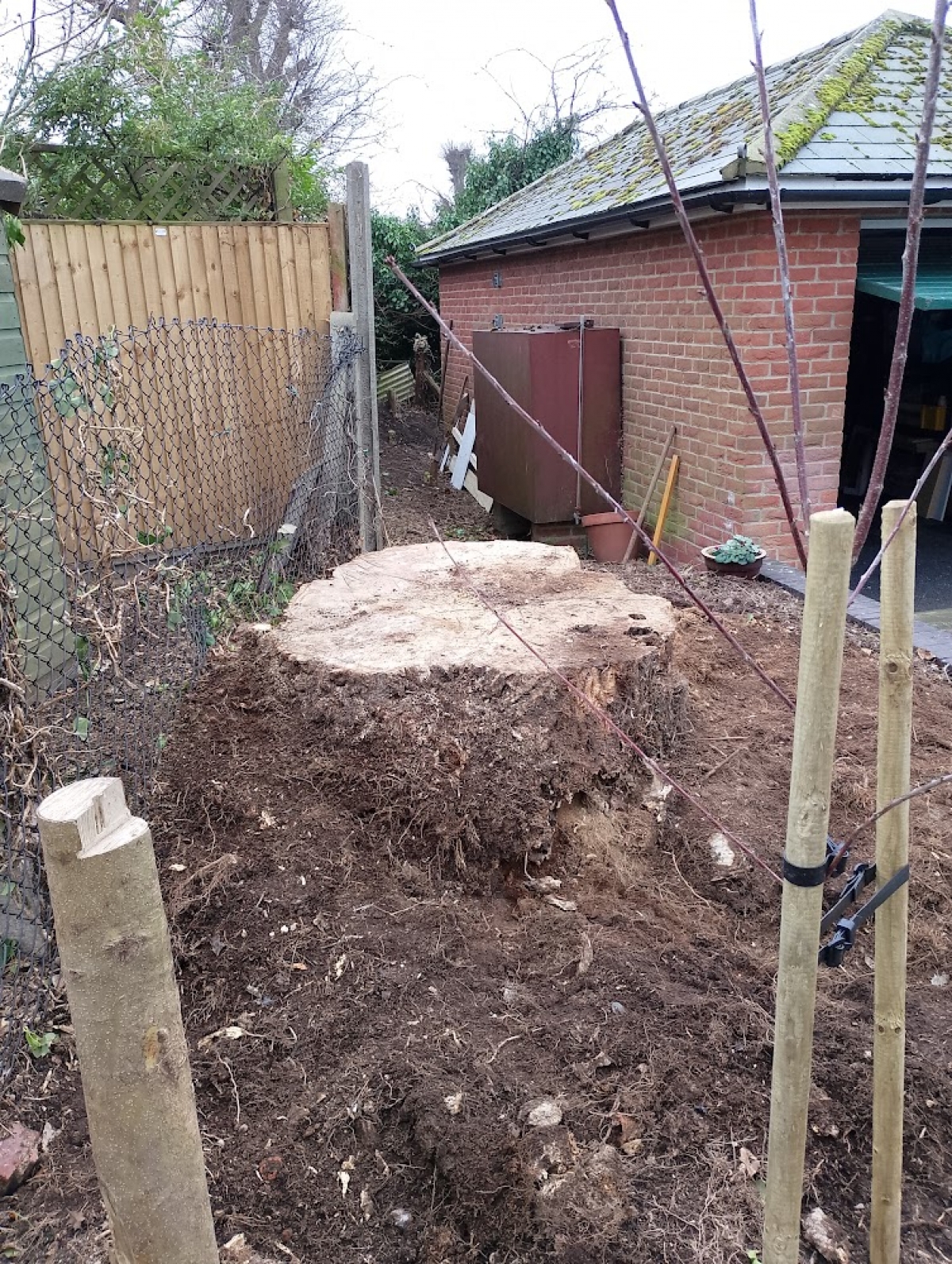 Stump Grinding - Royston, Hertfordshire. For all your stump grinding needs, big or small - just give us a call :-)