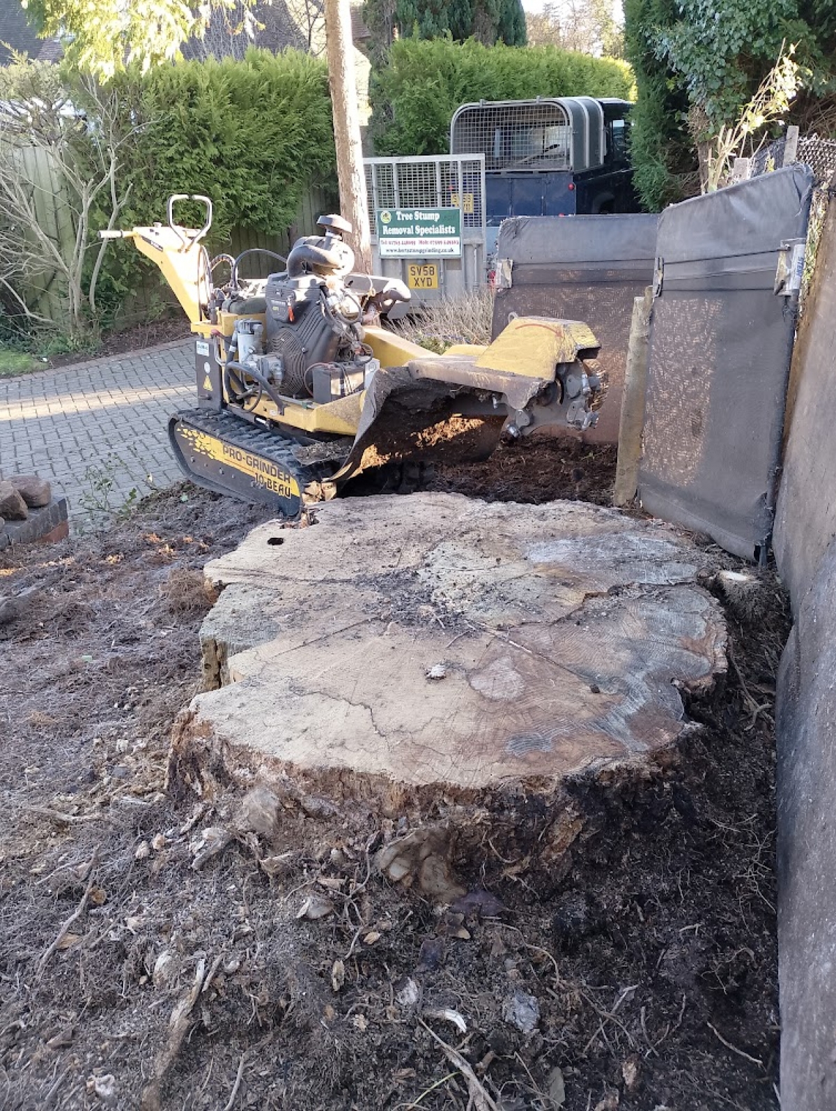 Stump Grinding - Royston, Hertfordshire. For all your stump grinding needs, big or small - just give us a call :-)