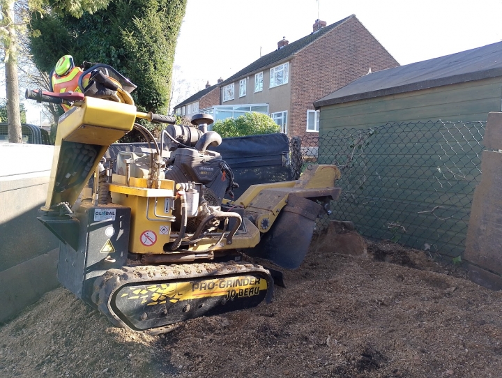 Stump Grinding - Royston, Hertfordshire. For all your stump grinding needs, big or small - just give us a call :-)