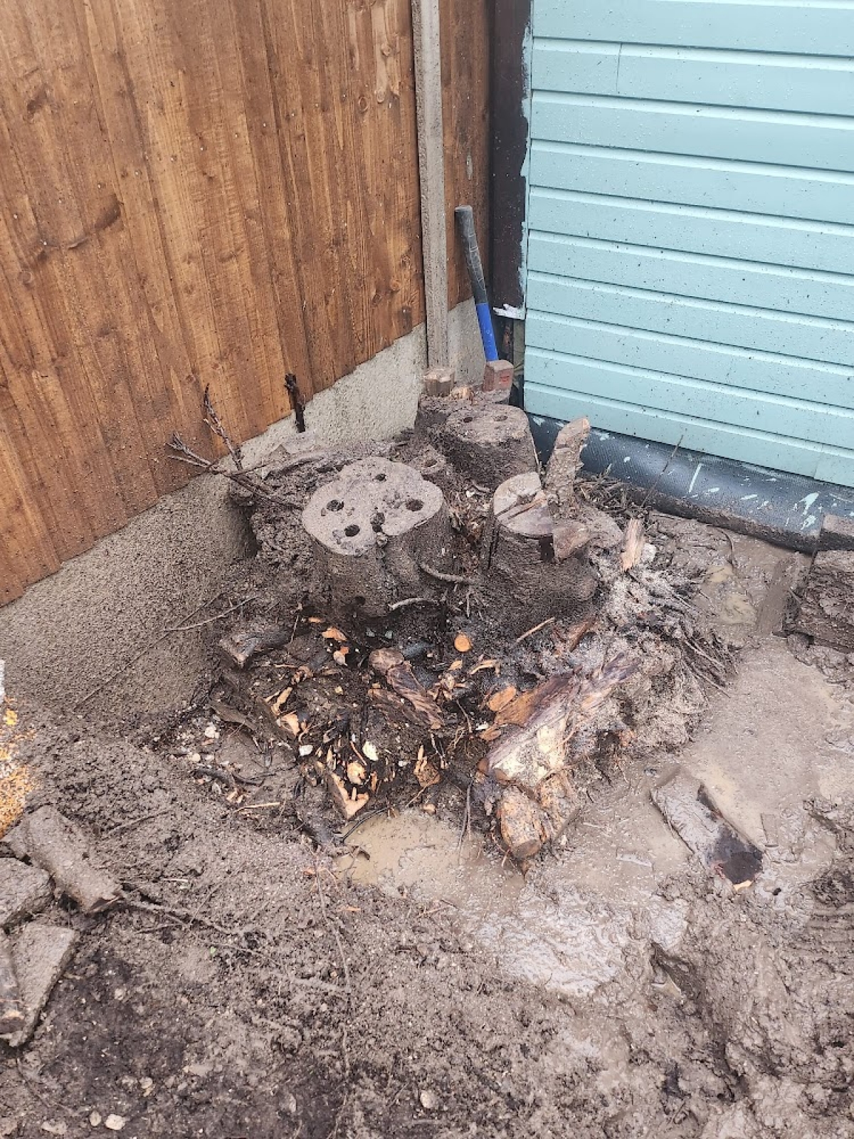 Customer tried for weeks to dig this stump out. Finally called us :-) For all your stump grinding needs, big or small - just give us a call :-)