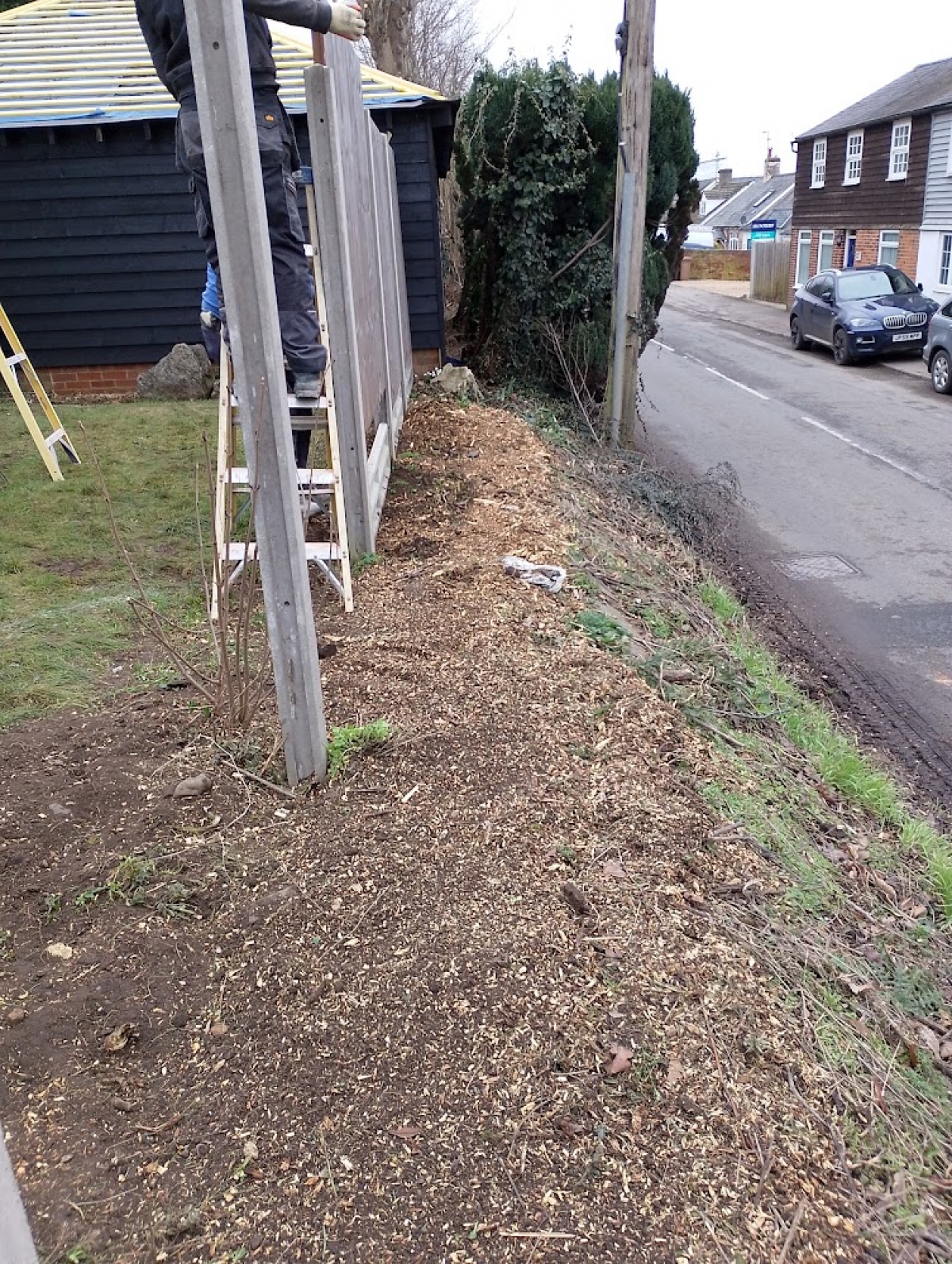 Stump Grinding, Hay Street, Hertfordshire. Tricky little job on a high bank next to a surprisingly busy road. For all your stump grinding needs, big or small - just give us a call :-)