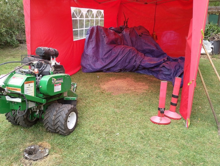 Nice to get the Bandit out today. For all your stump grinding needs, big or small, give us a call :-)