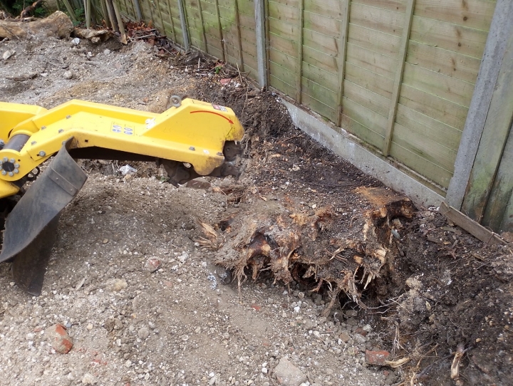 The builders tried very hard to dig these out. :-) For all your stump grinding needs, big or small, just give us a call :-)