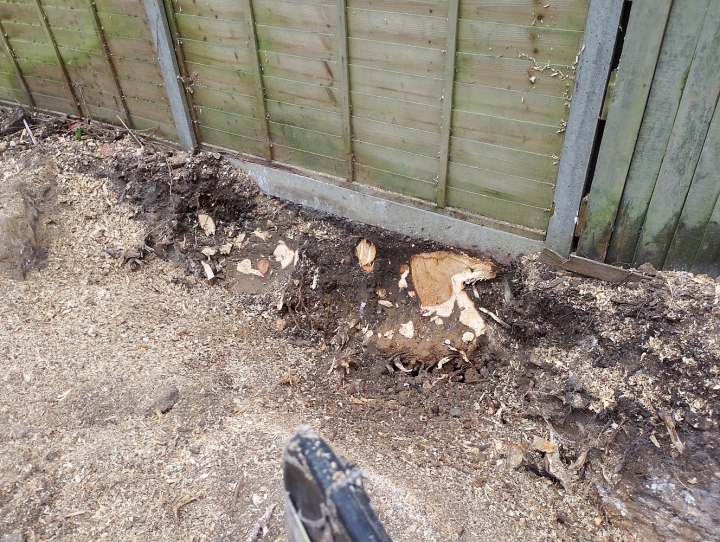 The builders tried very hard to dig these out. :-) For all your stump grinding needs, big or small, just give us a call :-)