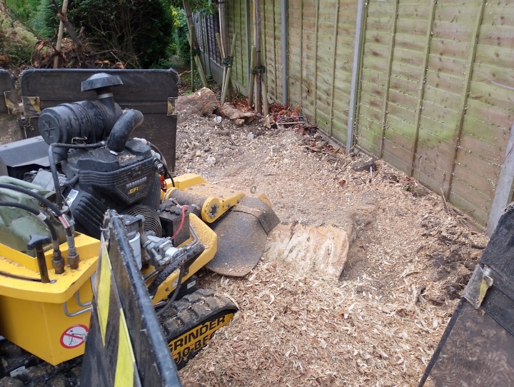 The builders tried very hard to dig these out. :-) For all your stump grinding needs, big or small, just give us a call :-)