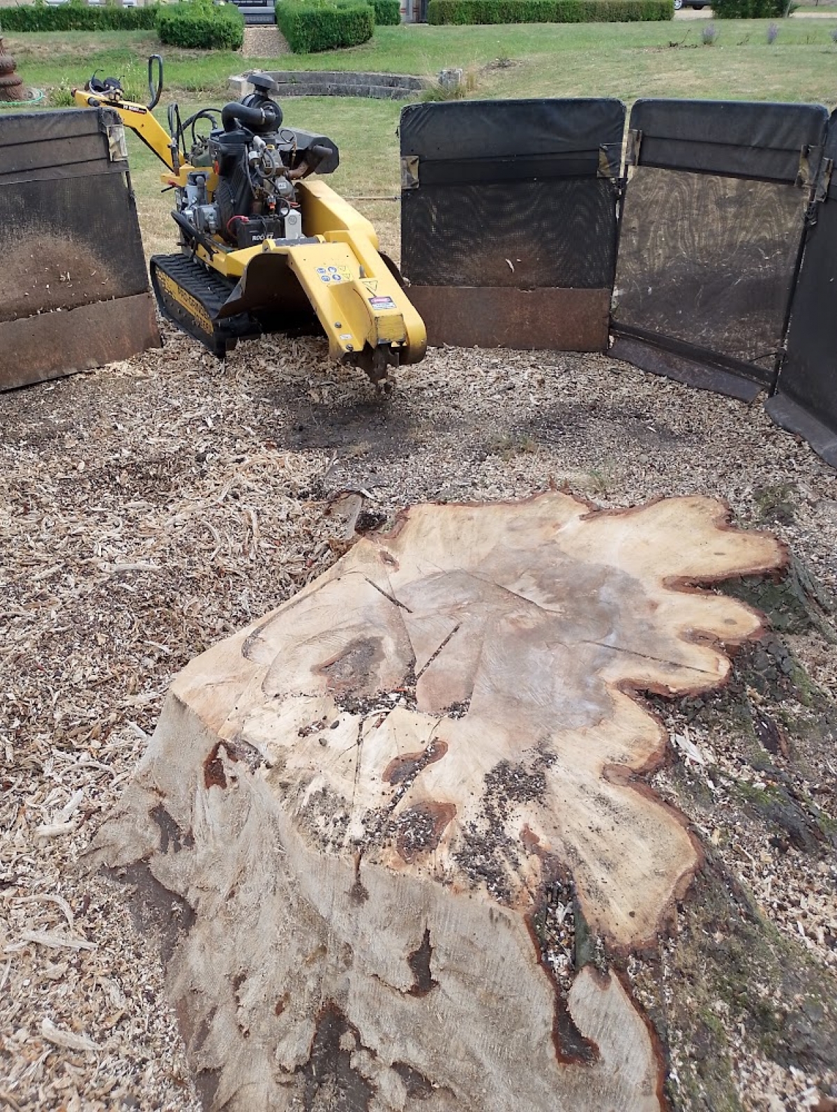 Nice little stump to finish the week :-) For all your stump grinding needs, big or small - just give us a call :-)