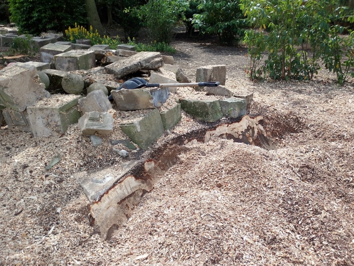 Nice little stump to finish the week :-) For all your stump grinding needs, big or small - just give us a call :-)