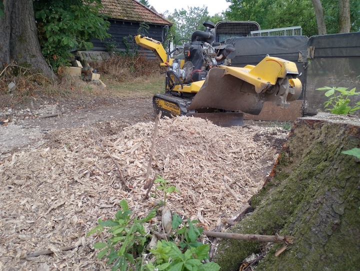 Nice stump today For all your stump grinding needs, big or small. Just give us a call.