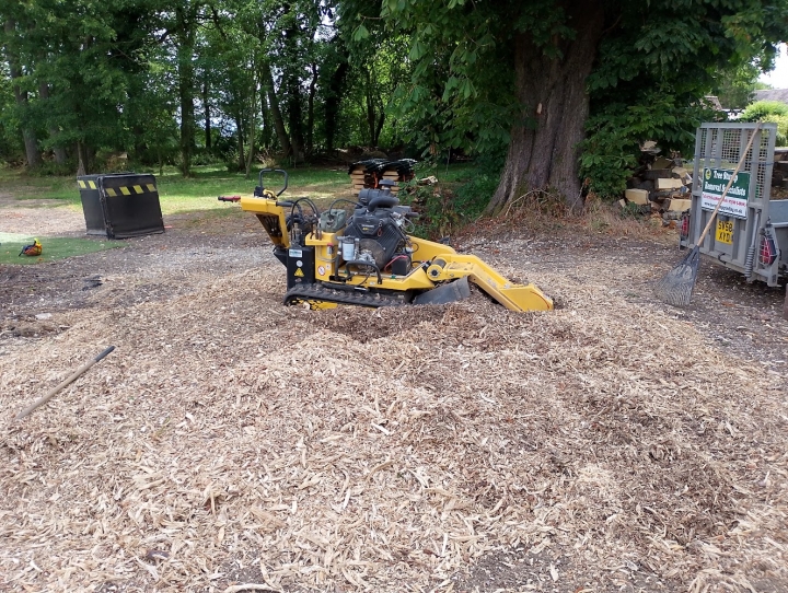 Nice stump today For all your stump grinding needs, big or small. Just give us a call.