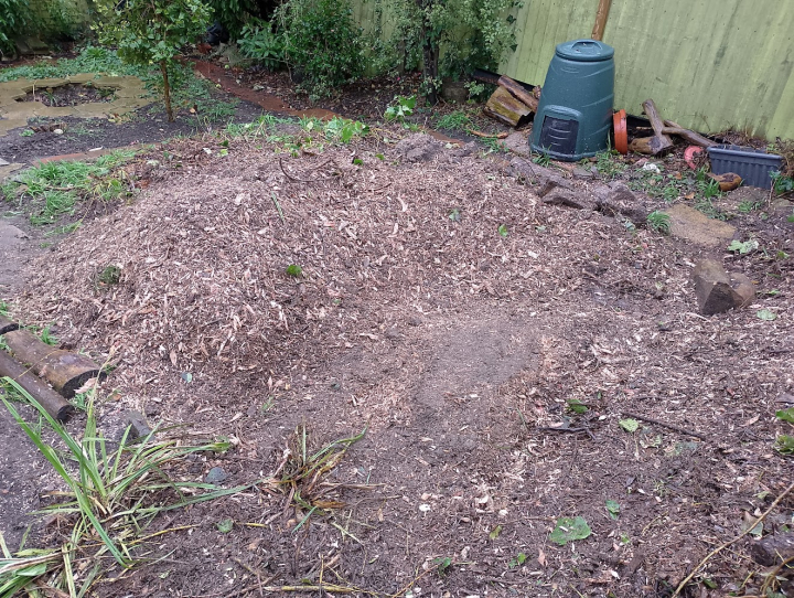 London today - Narrow access. Nobody else wanted to do this job - can't think why lol For all your stump grinding needs, big or small. Just give us a call, we grind them all.